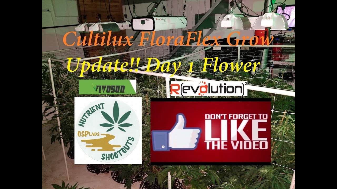 Cultilux FloraFlex Grow Update!! Day 1 Flower