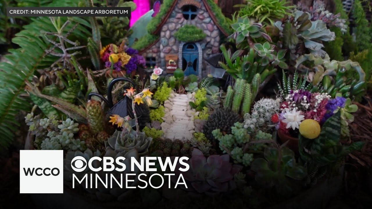 Spring Flower Show showing off colorful displays at Minnesota Landscape Arboretum
