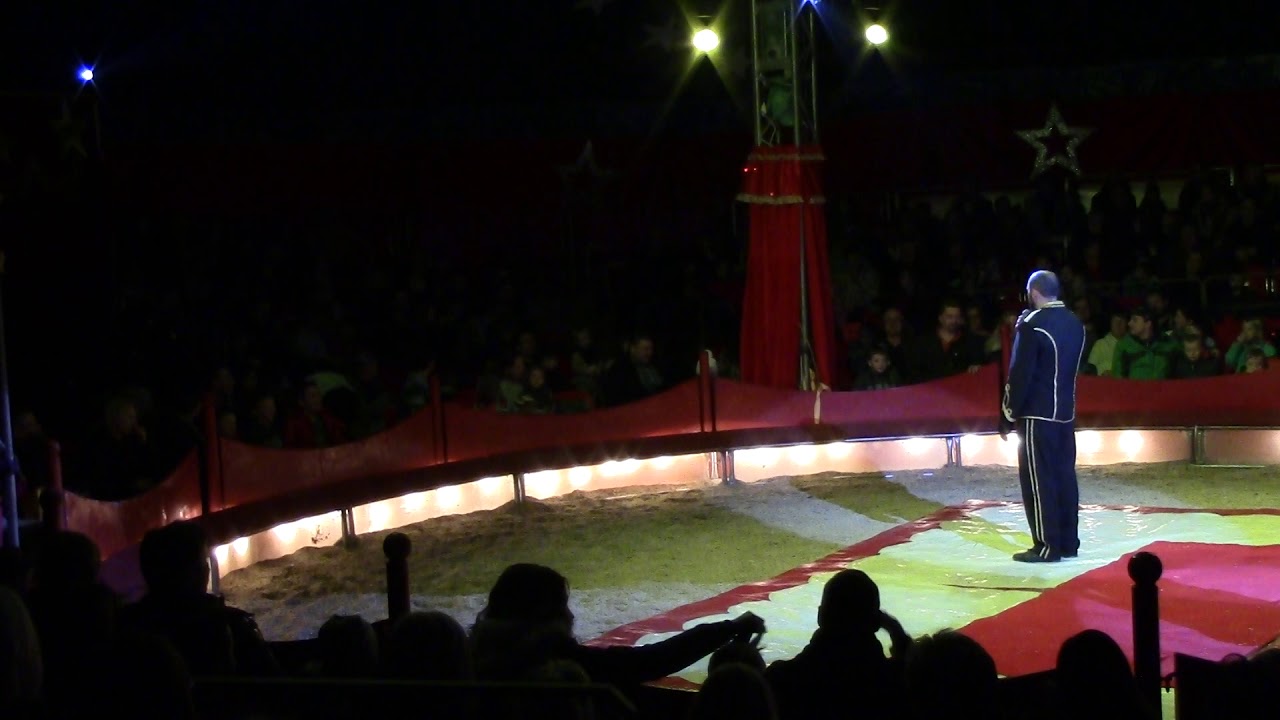 Clown Beppo vom Weihnachtszirkus Alex Kaiser in Mauthausen