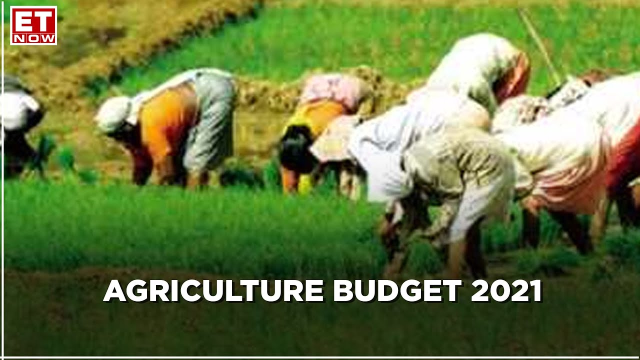 Agriculture Budget 2021: 1000 more mandis to be integrated with e-NAM