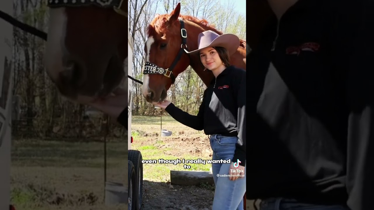 💜 Equestrian tiktoks #11 💜
