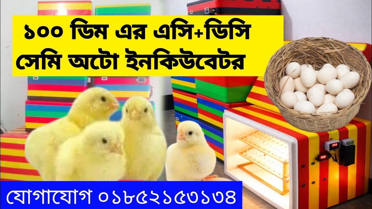 ১০০ ডিম এর এসি+ডিসি সেমি অটো ইনকিউবেটর। যোগাযোগঃ ০১৮৫২১৫৩১৩৪