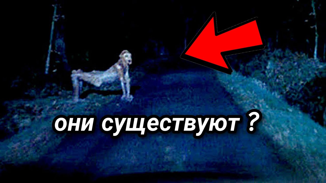 СКИНВОЛКЕРЫ СНЯТЫЕ НА КАМЕРУ (Vol 2)