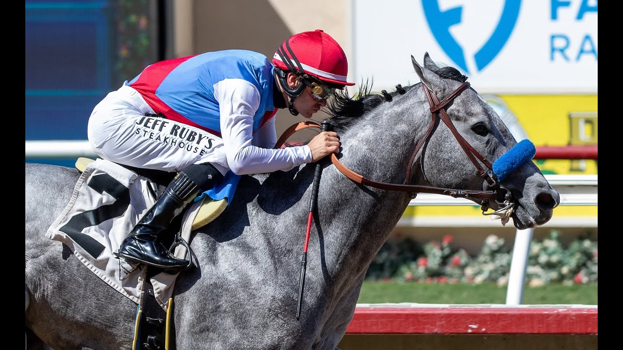 2025 Breeders' Cup Contenders: Brant
