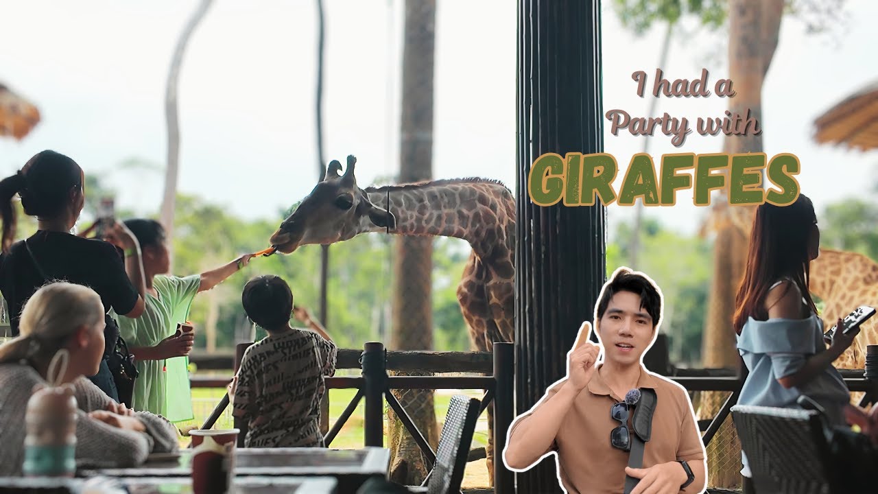 How Vietnam Safari Looks Like? Trip to VinPearl Safari on Phu Quoc