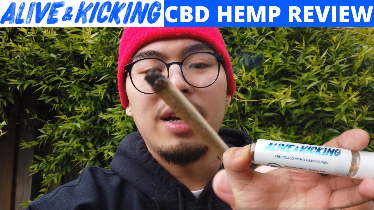 Trying Alive and Kicking Suver Haze CBD Primo Preroll