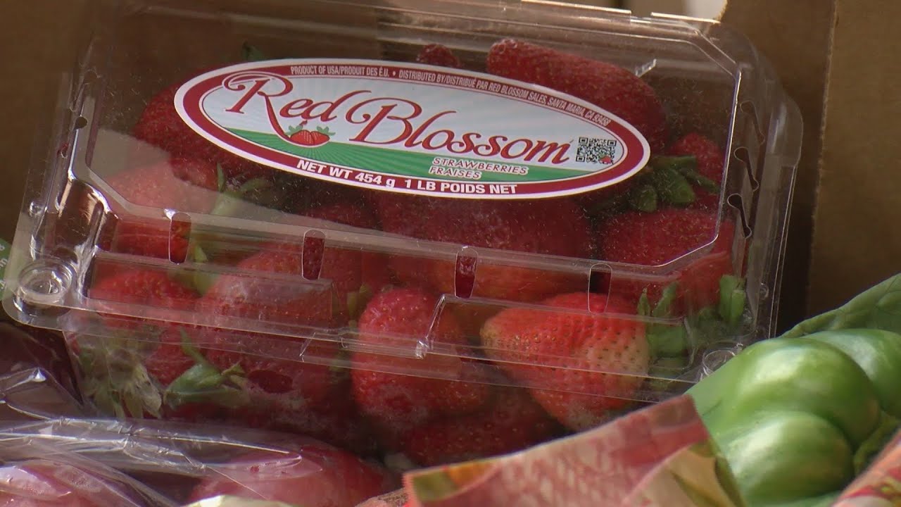 USDA produce boxes