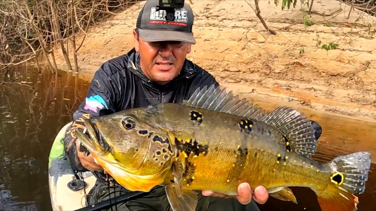 HUNTER BAIT, A ISCA QUE FAZ ESTRAGO NA PESCARIA DE TUCUNARÉ 