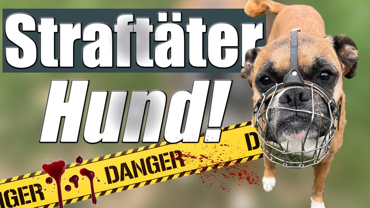 Gefährliche Hunde und ihre Opfer... hör genau zu!!!