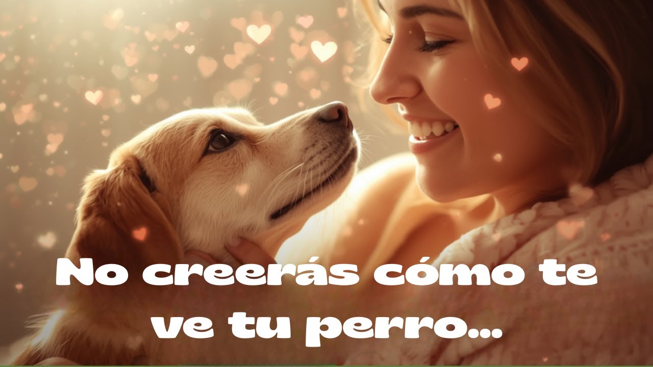 “¿Tu perro te considera su mamá? 5 señales infalibles