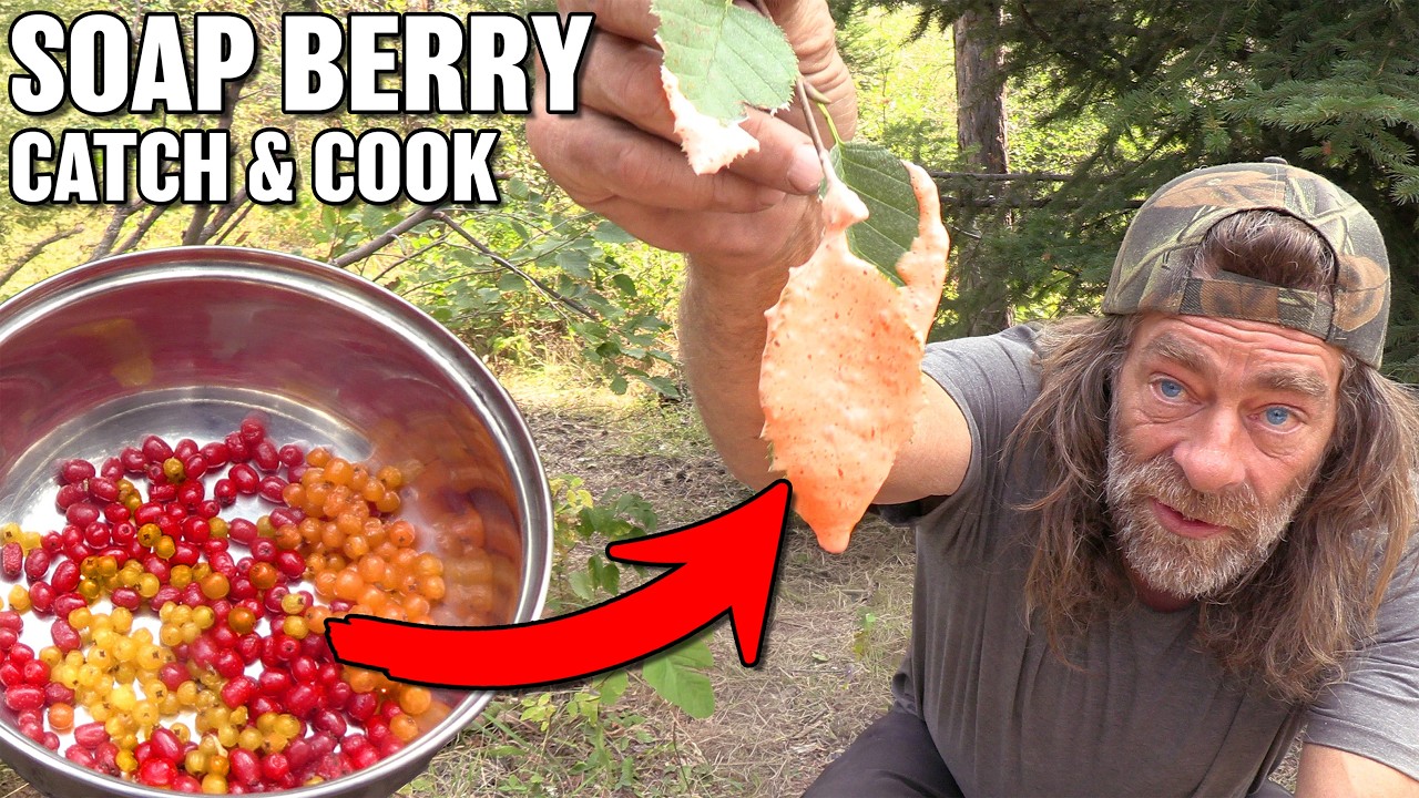 Soap Berry Catch & Cook Dessert