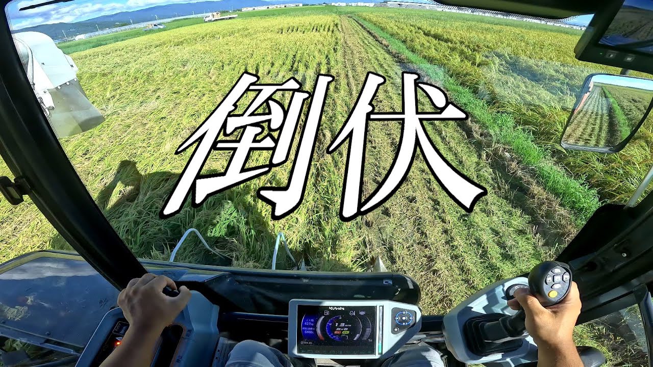 【コンバイン】倒伏した稲の刈り方・方法