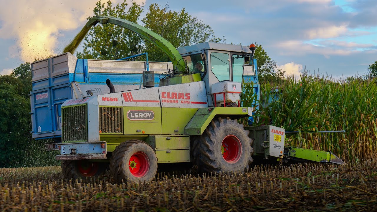 ✨Ensilage avec la LÉGENDAIRE CLAAS Jaguar 695 Mega 6 Rangs 🌽