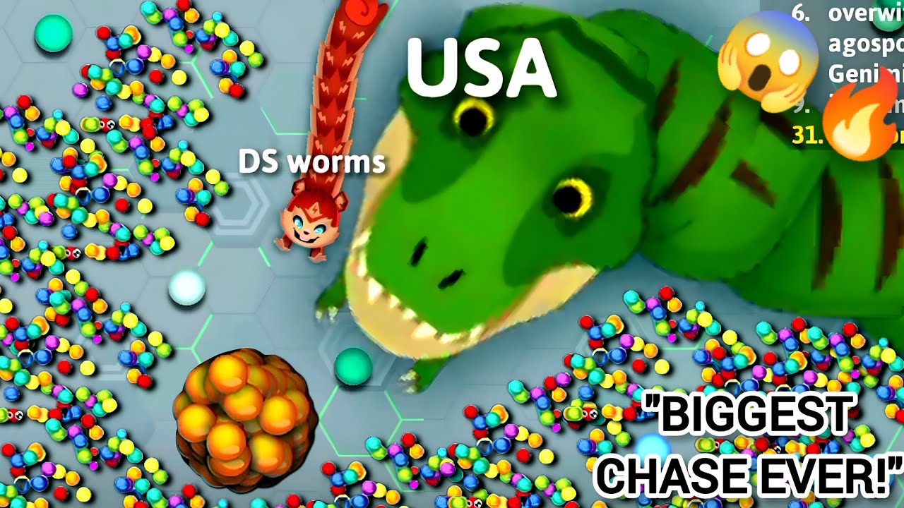Screwball vs The BIGGEST Snake – You Won’t Believe What Happened! 😱🔥 DS worms