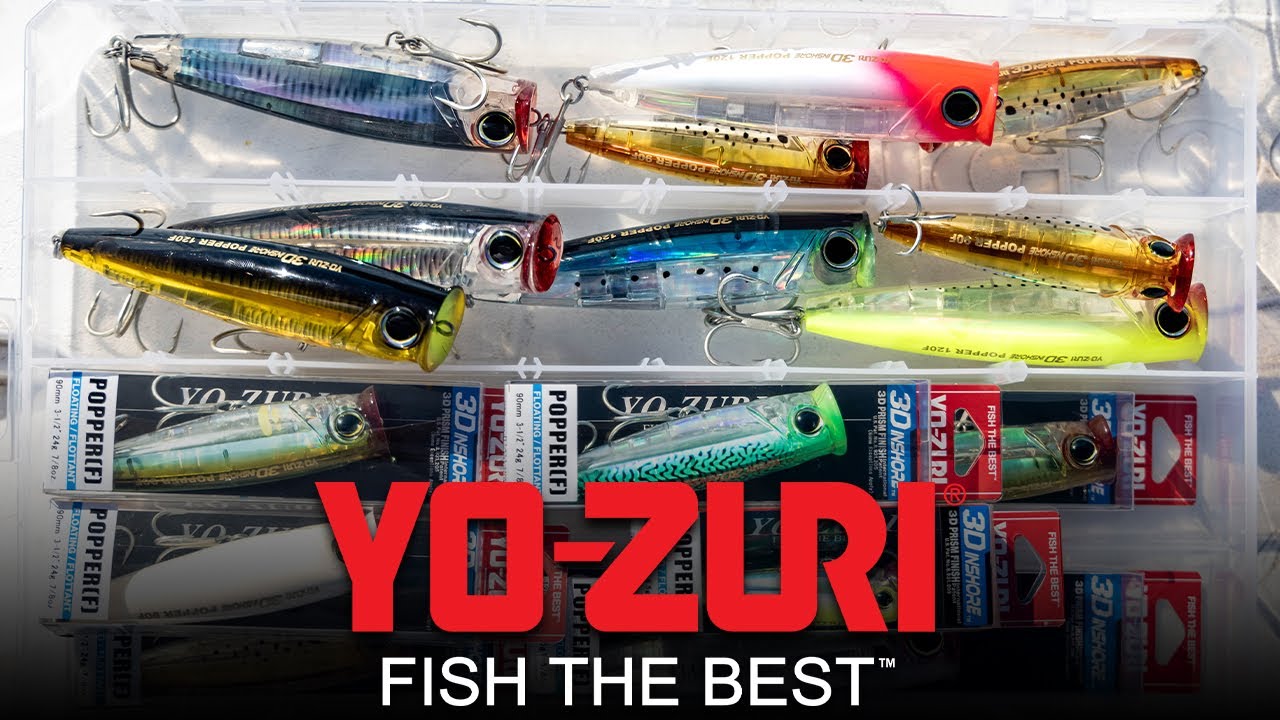 The New 3D Inshore Popper