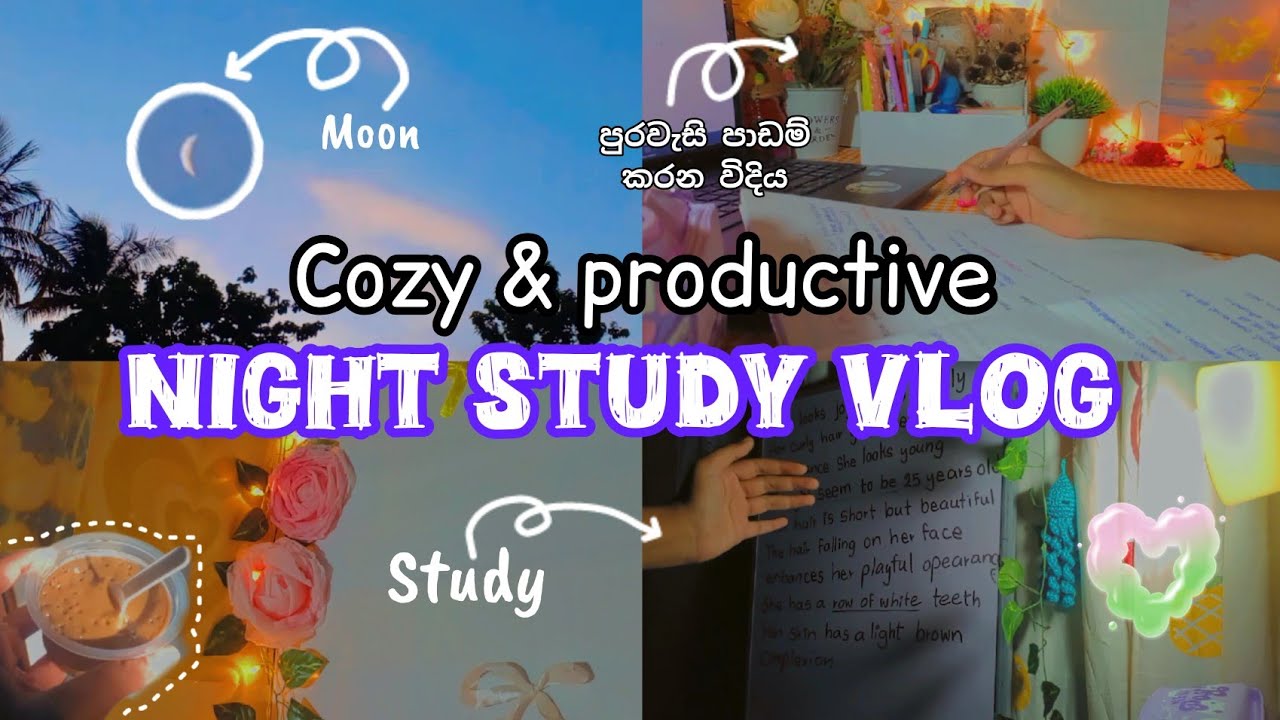 පුරවැසි පාඩම් කරන විදිය | Peaceful Night Study Session 🌙☕ | Productivity After Dark |සිංහල | ✨🌻