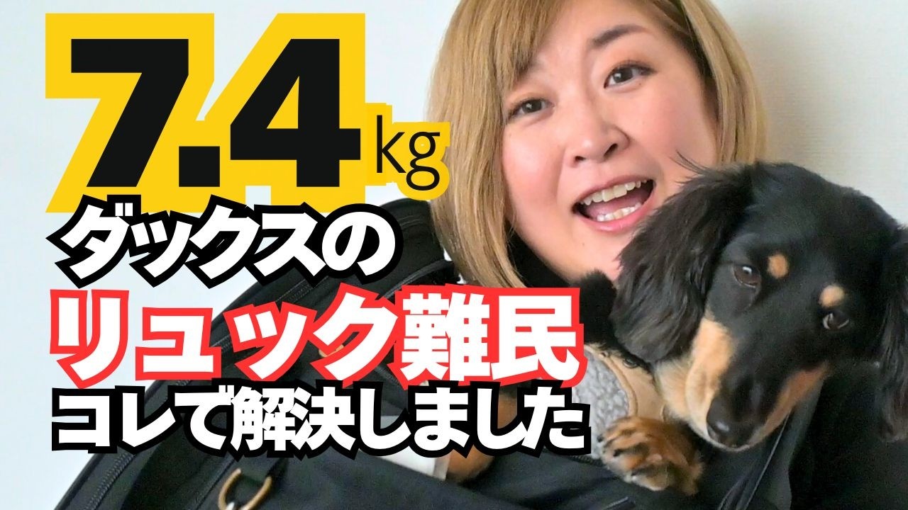 【7.4㎏のダックスフンド】とレブル250でワンデム！リュック難民になった私が失敗から学んだことは、胴長さんに普通サイズは無理でした