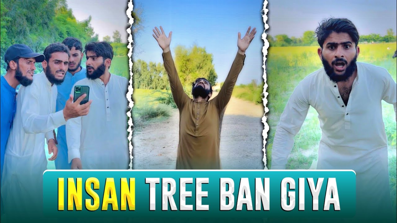 Insan Tree Ban Giya 😱