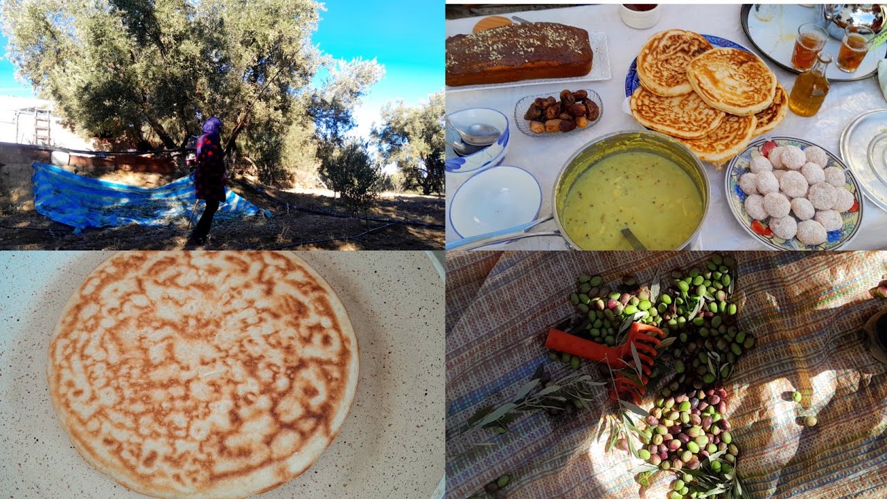 أجواء جني الزيتون بإقليم تازة #المغرب #food 😍