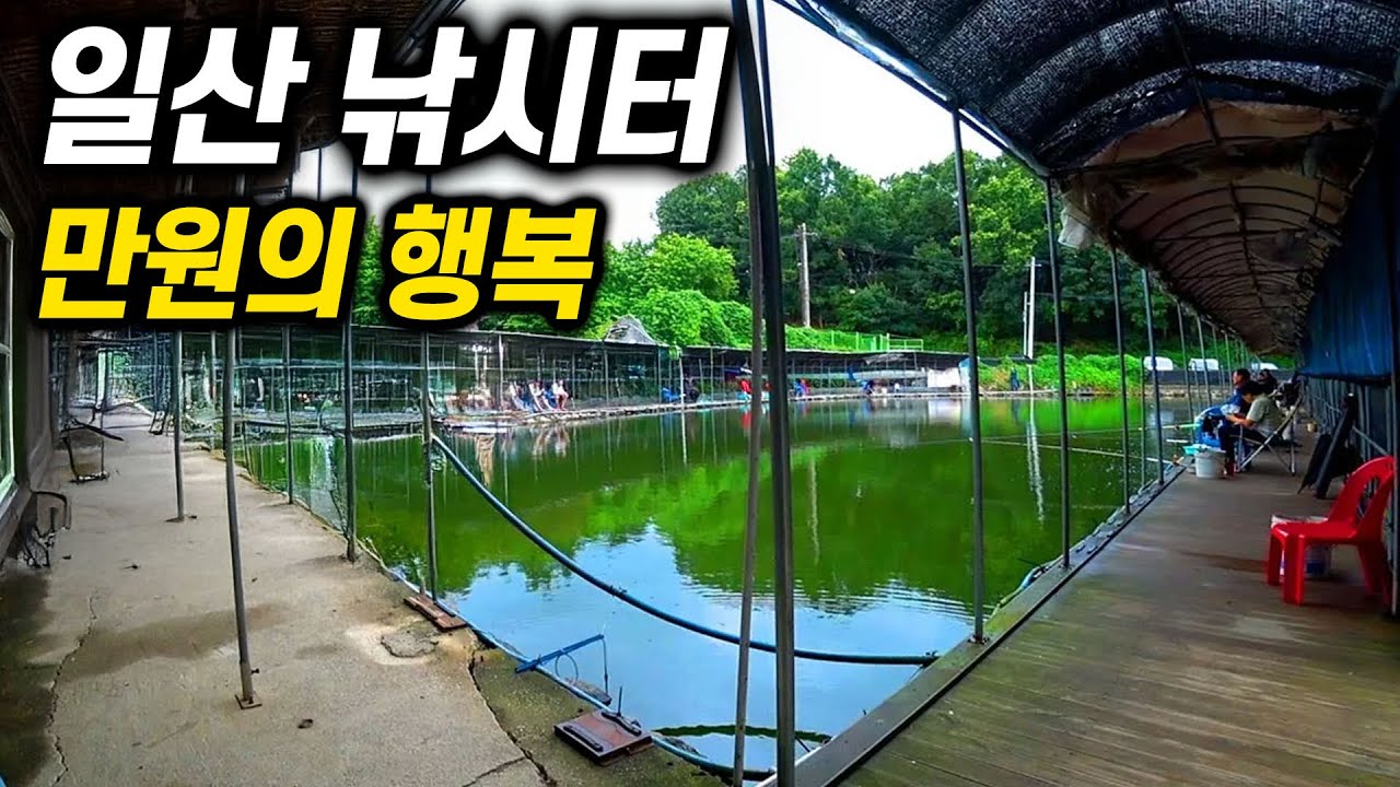 일산에 만원짜리 낚시터가 있다. 정원낚시터에서 손맛을 봤어요
