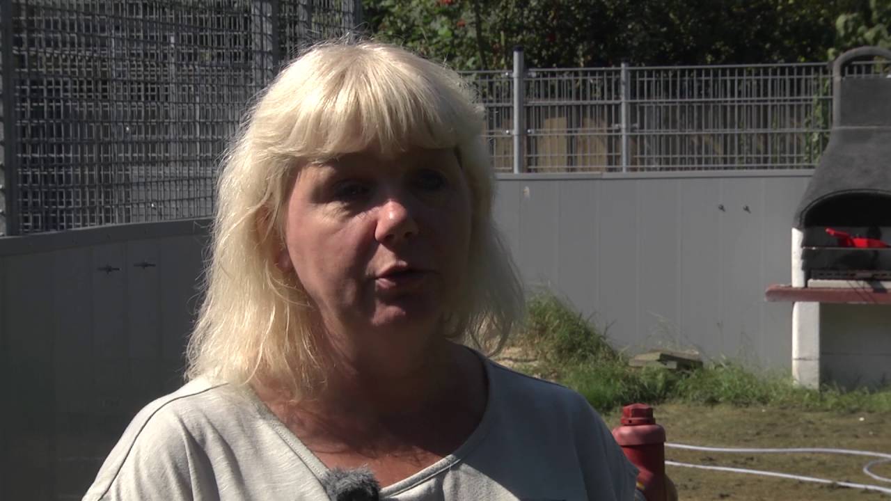 Jij in de Wijk zomeraflevering 14