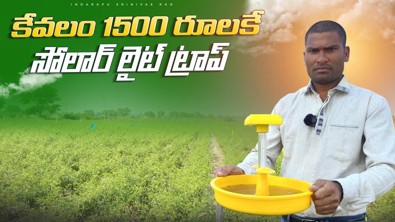 Solar Light Trap In Telugu | Solar Light In Agricultur | సోలార్ లైట్ ట్రాప్.
