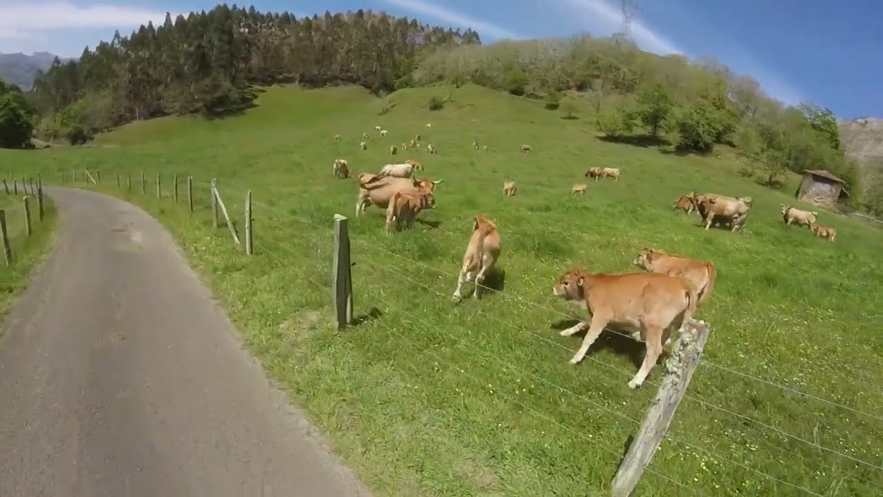 Valle del Güeña en bici eléctrica de montaña (Cangas de Onís)