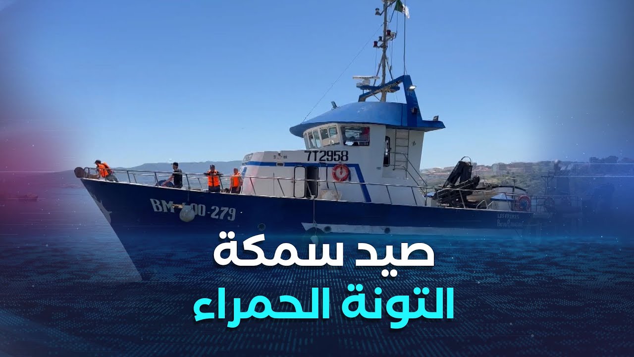 بومرداس | انطلاق حملة صيد سمكة التونة الحمراء من ميناء دلس