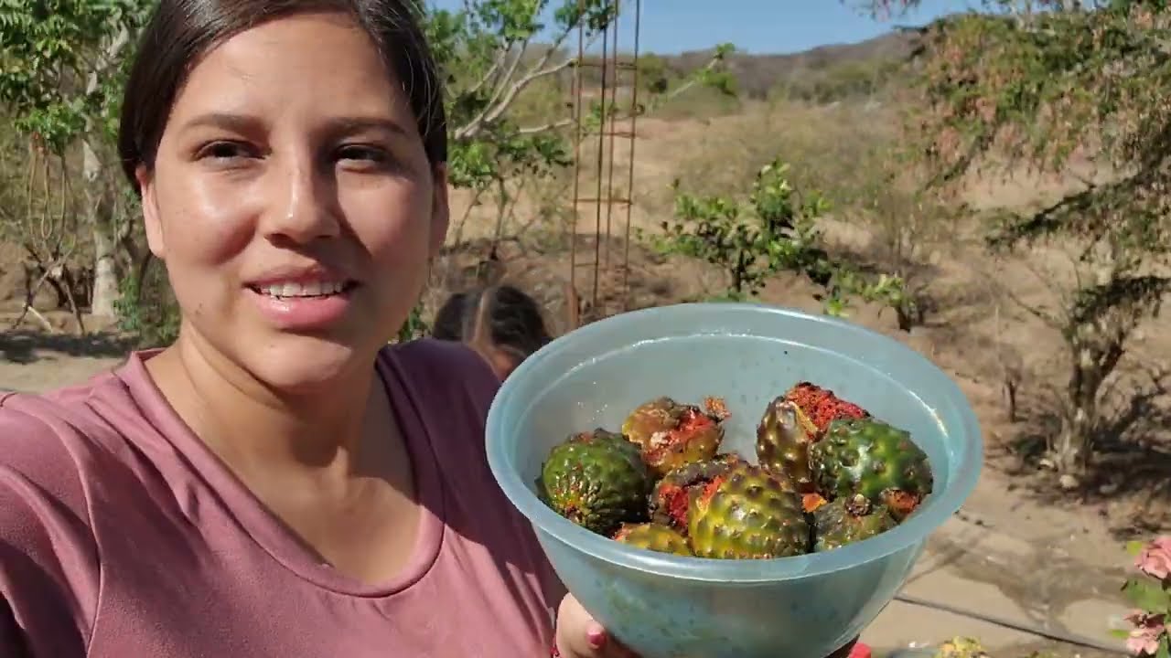 EN MI RANCHO | CHOIX, SINALOA