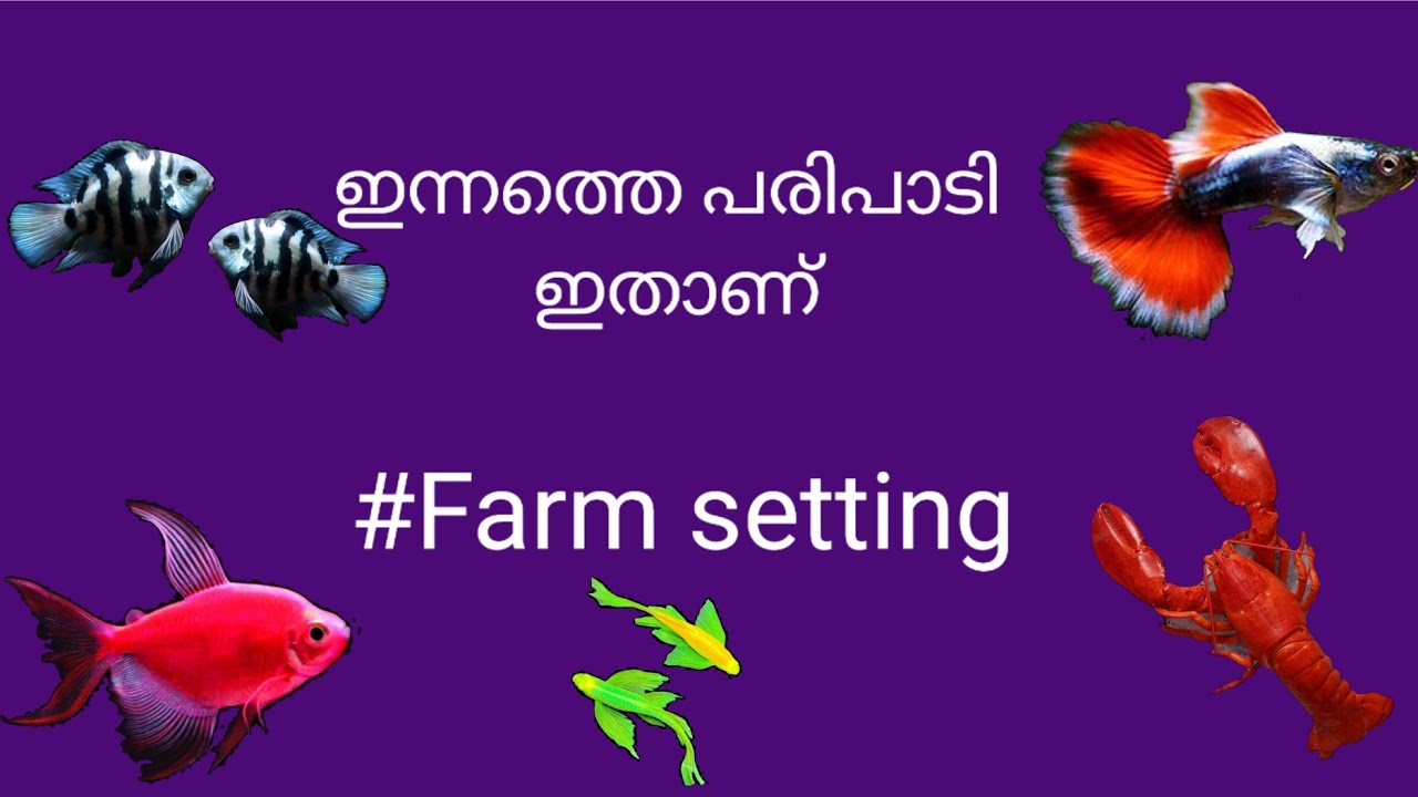 Farm setting 