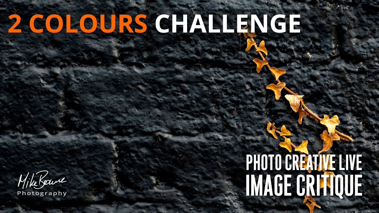 2 COLOURS OR FEWER challenge | Photo Creative Feedback LIVE - Mike Browne