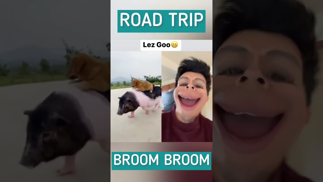 Road trip, broom broom 😝