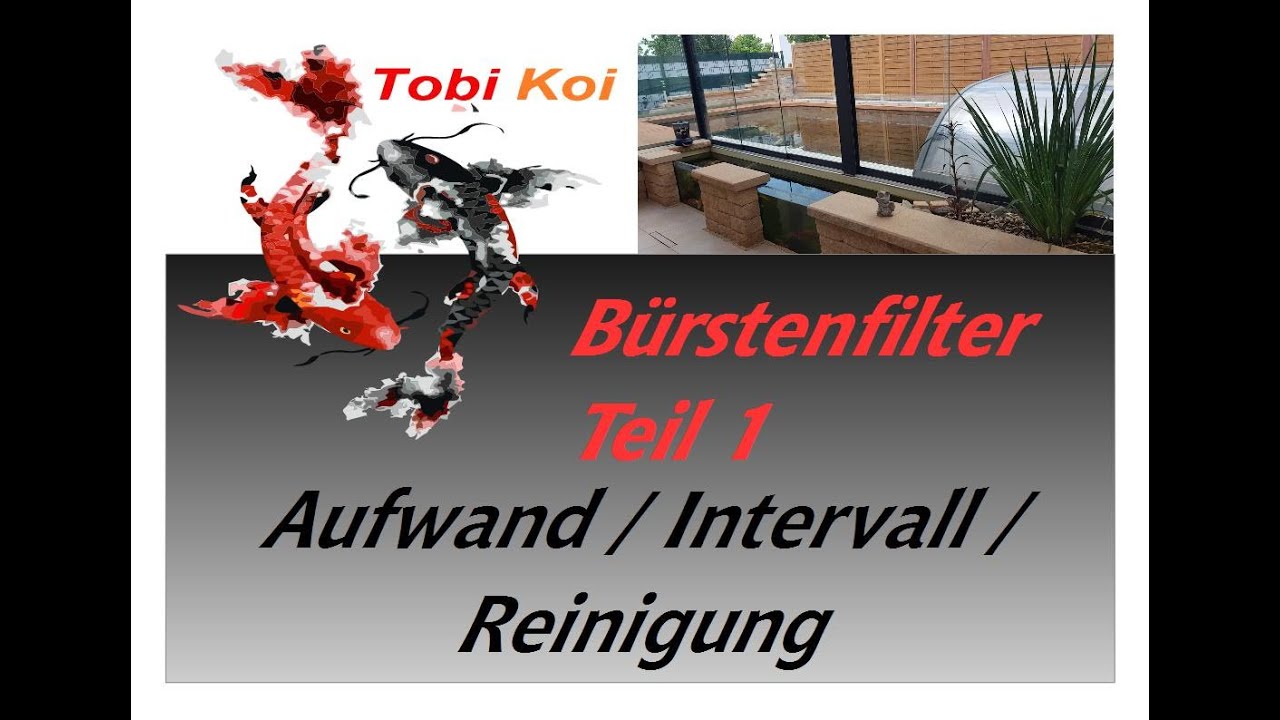 Tobi Koi *9 Teil 1 Bürstenfilter Reinigen / Optimieren