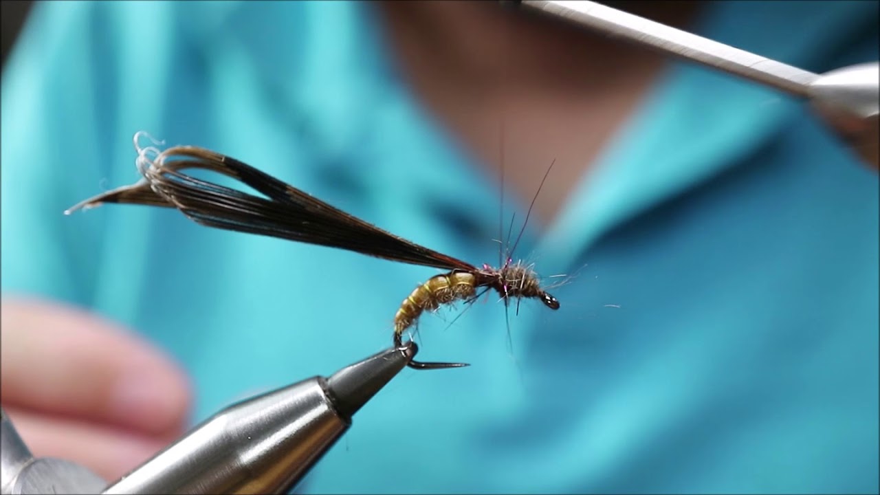 Pupa-Fly tying
