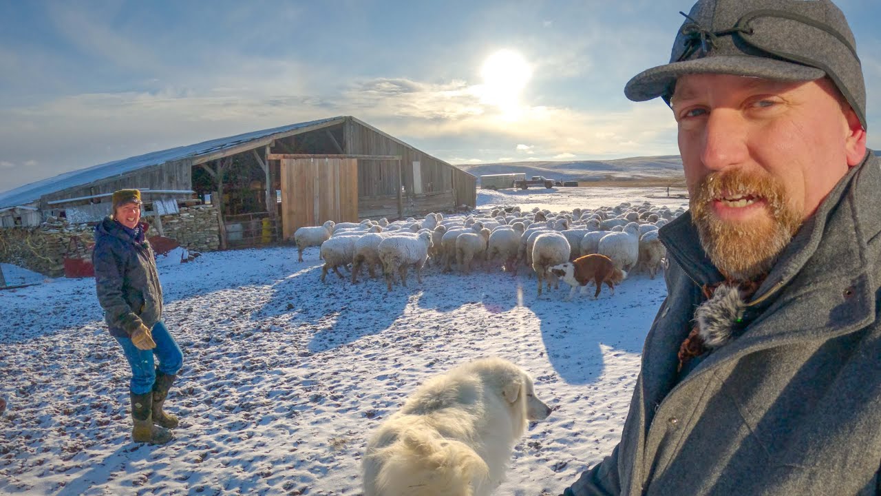Day in the Life of a SOLO Female Rancher!