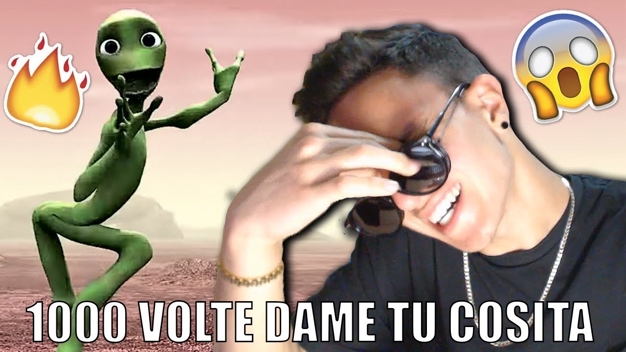 DICO 1000 VOLTE 