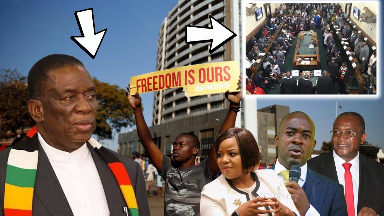 Pazoshata🥵Five Political Parties Unite led by Mudenda to Oppose Mnangagwa & Zanu PF's '2030 Agenda