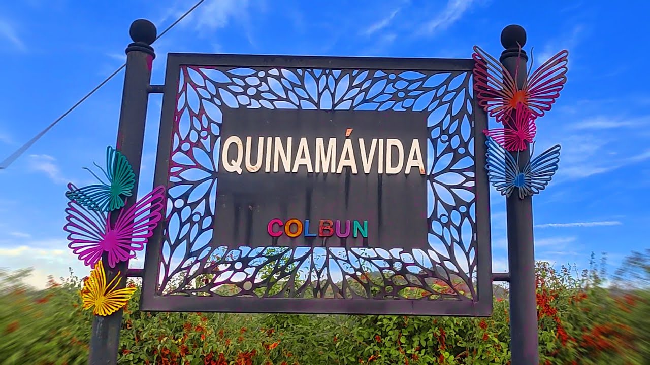 Quinamavida 11 de Enero 2026 Región del Maule #naasevenishma