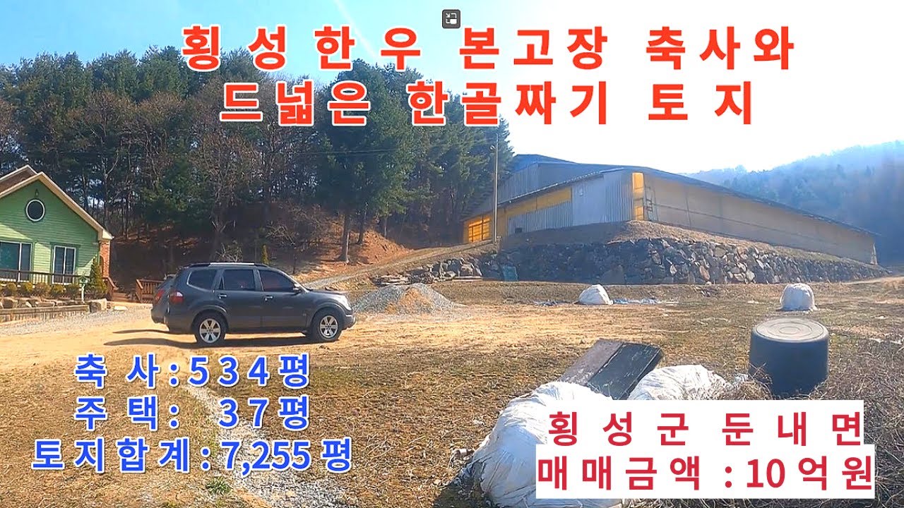 ( 매물 보류 ) 횡성 한우의 본고장 횡성 축사와 나홀로 한골짜기 칠천평 토지  전체 10억원  #횡성한우 , #한우축사,   #소축사매매,  횡성군 둔내면