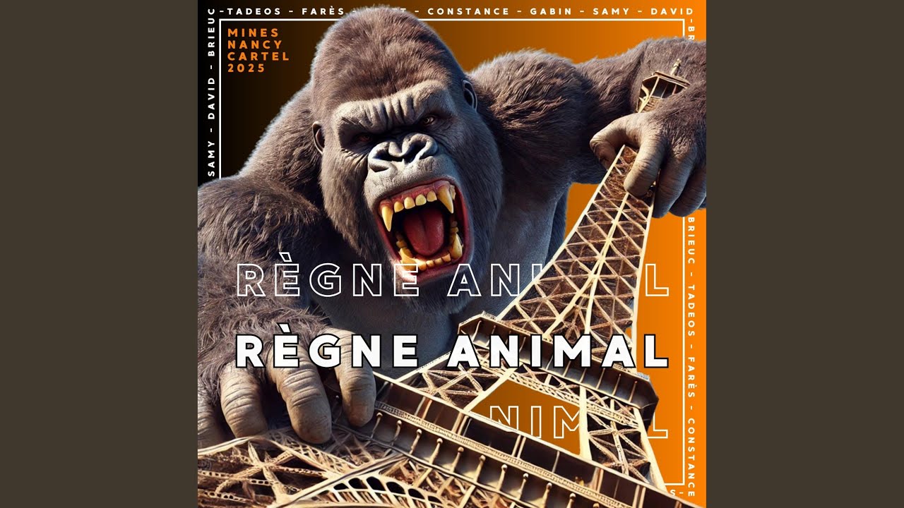 Mines Nancy Cartel 2025 - Règne Animal