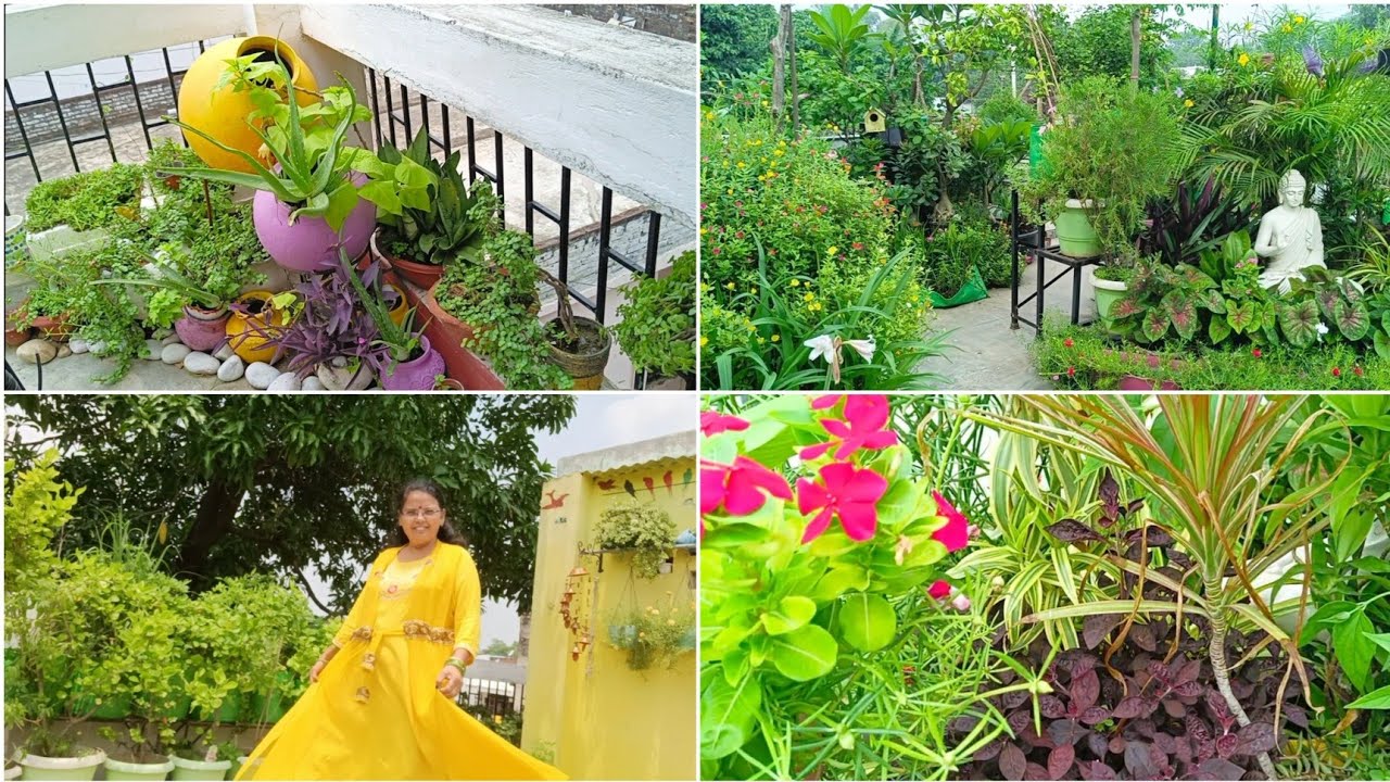 Final look of My reorganized terrace garden || ऐसा लगता है इस colorful बगिया में खोए रहे Garden tour