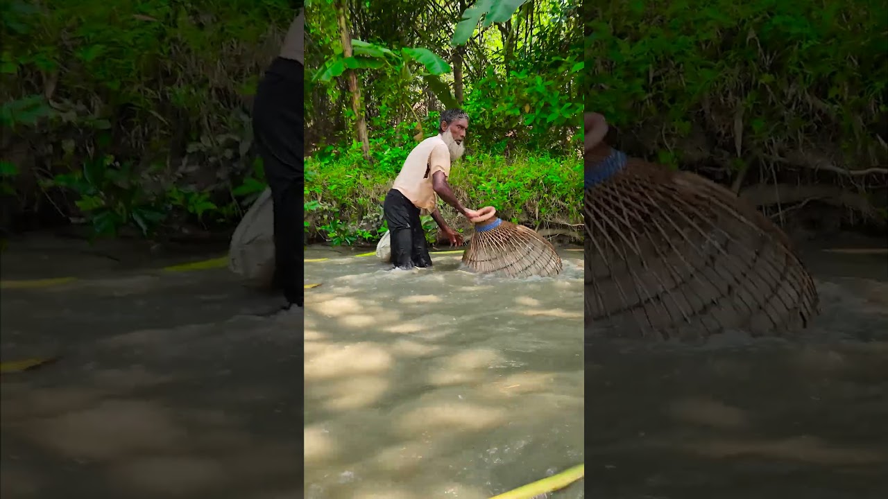 Wow! Amazing Polo Fishing Videos ! Best Big Fish Catching ! Primitive Technique fishing #fish #india