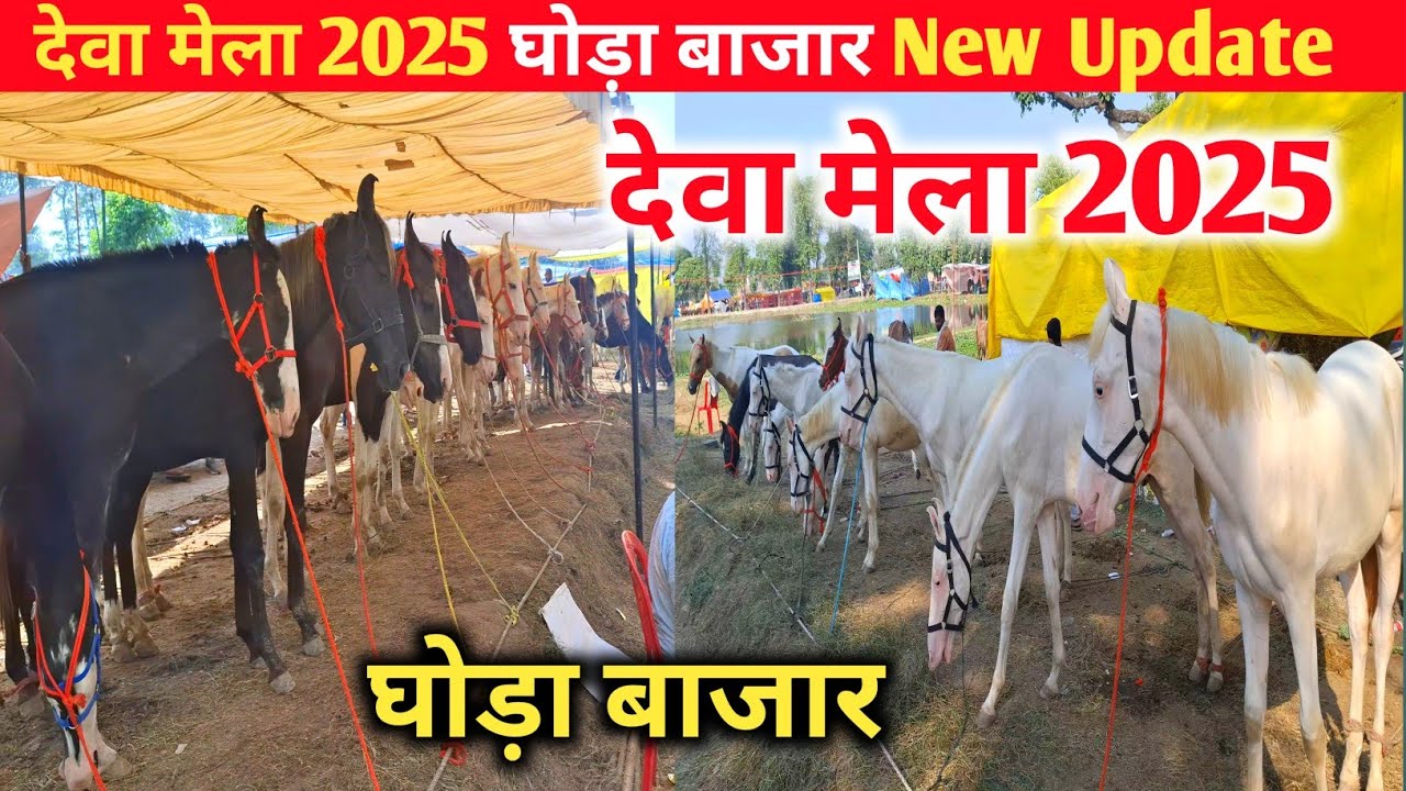 Deva mela 2025 घोड़ा बाजार New Update 🐴🌻 |Dewa mela Horse Market |Deva mela 2025