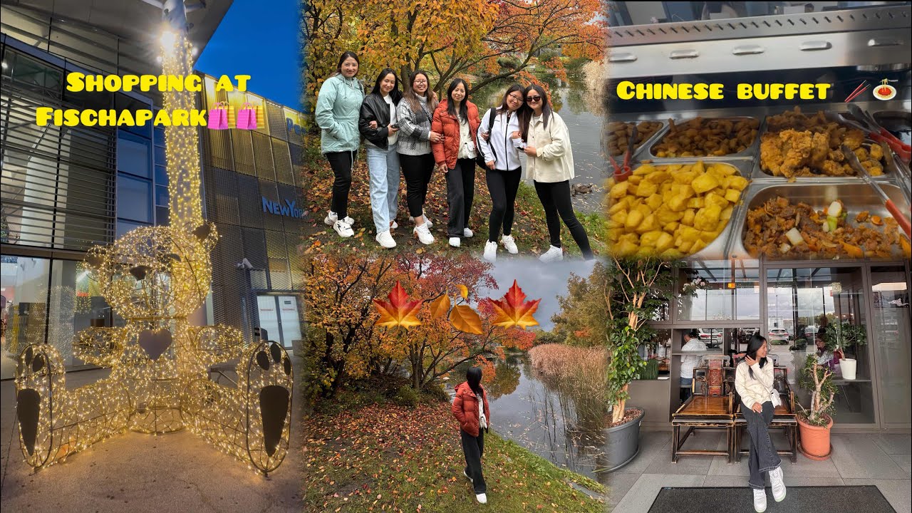 SHOPPING 🛍️ 🛍️ AT FISCHAPARK ~ WENT TO NEW CHINESE BUFFET 🍝🥢 📍WIENER NEUSTADT ~ FALL SEASON 🍂🍁🍁~