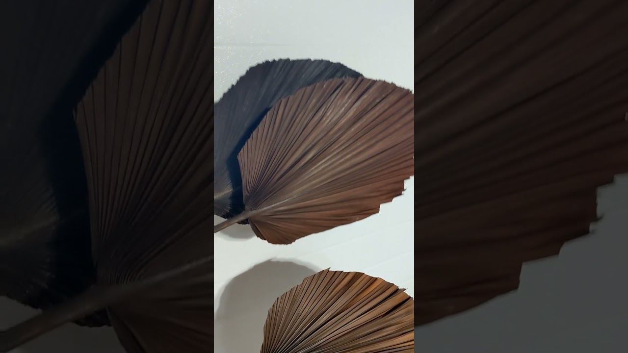 Anahaw Palm Leafs | Natural Palm Leaf Decor | DIY Dried Florals