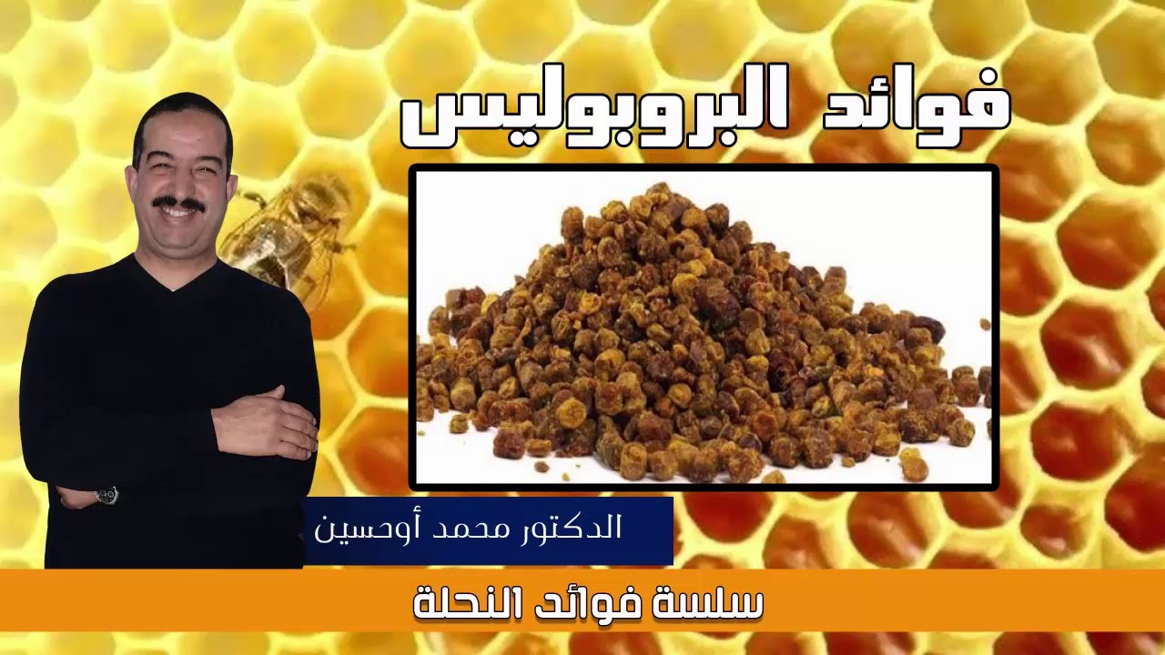 الحلقة الاولى من فوائد النحلة - البروبوليس