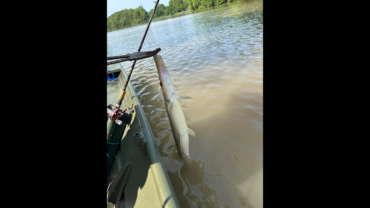 Intracoastal Canal Catfishing 5-26-2023