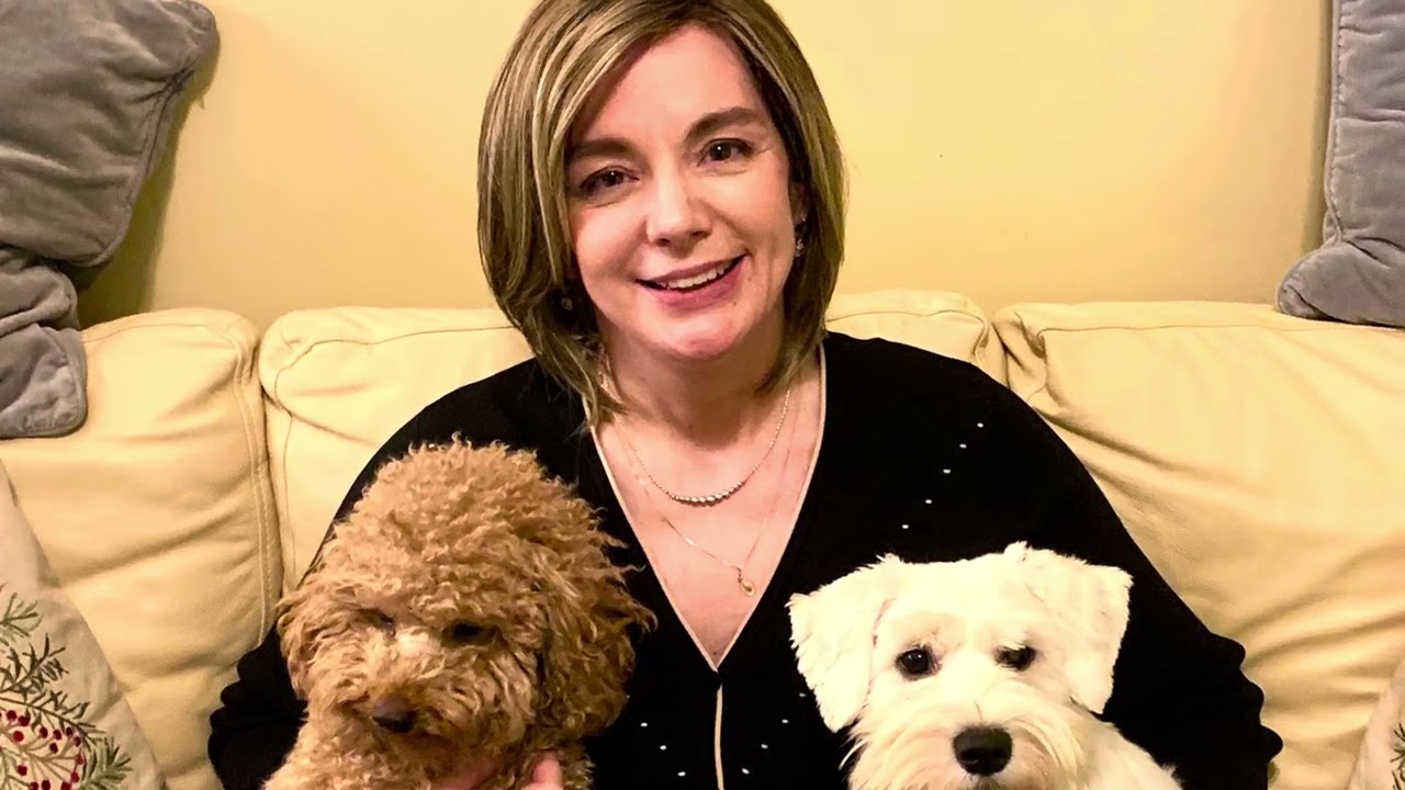 Dog Coat Color Genetics Explained - Honey's Schnoodle Litter