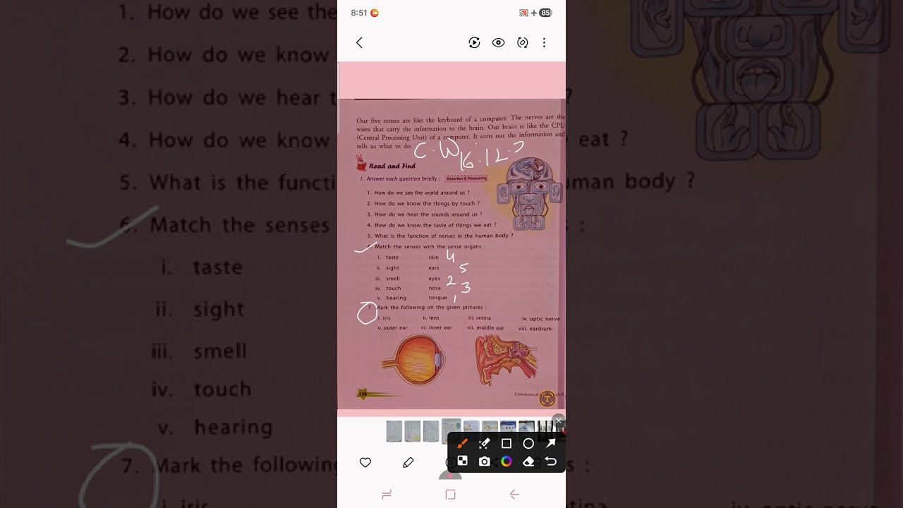 Chapter-12 Our Five Senses Back exercise (English)