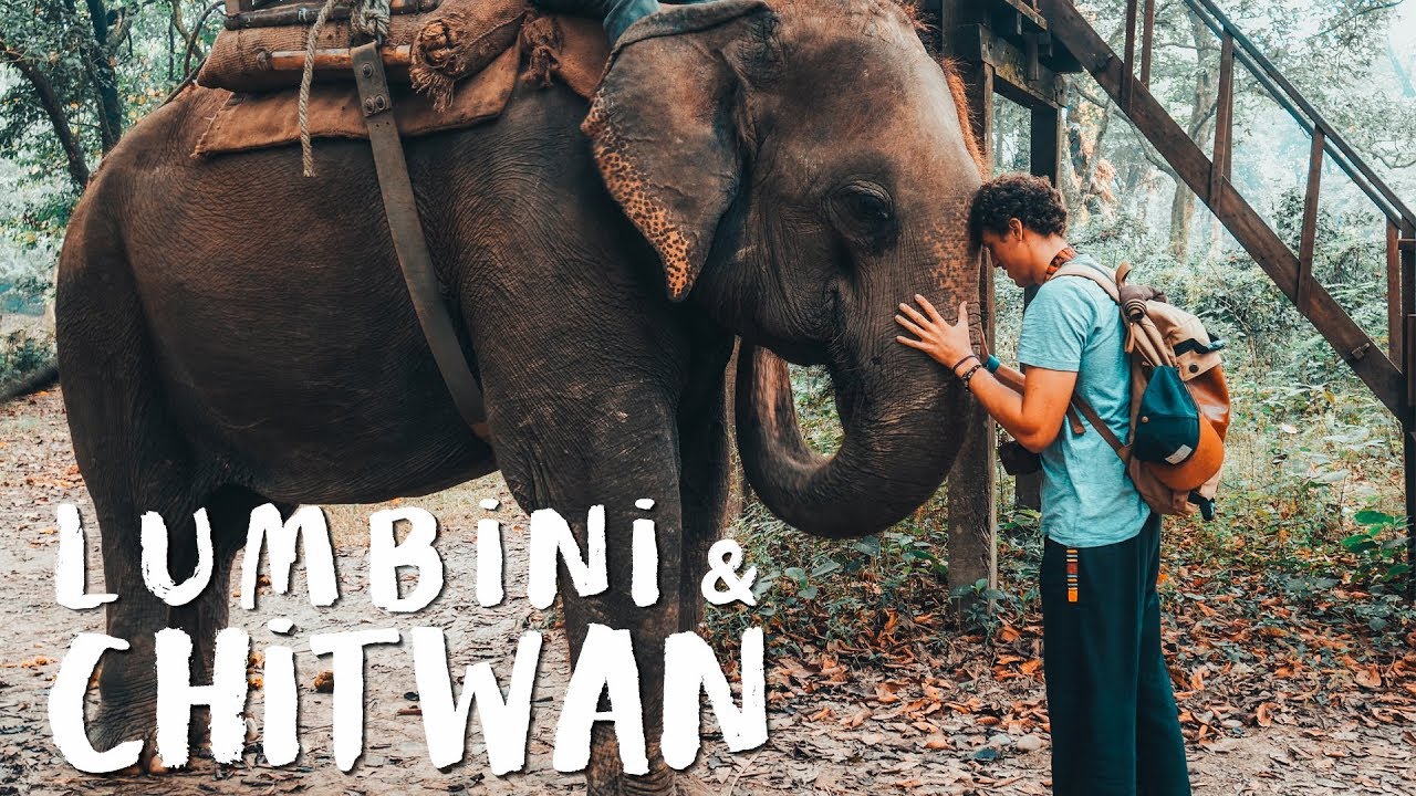 Lumbini y Chitwan. La casa de Buda y de los Elefantes | NEPAL #1